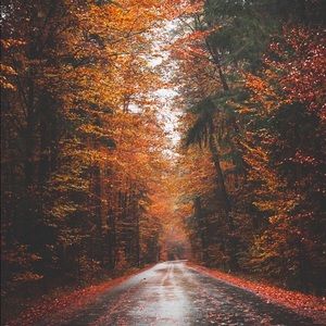 Meet your Posher, Distinctive